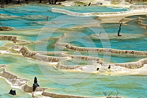 Multi-coloured Ponds photo