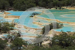 Multi-coloured Ponds