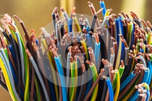 Multi-Conductor Electric Cables Close-up