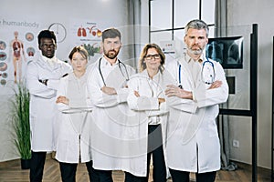 Multi ethnic group of doctors posing at medical cabinet