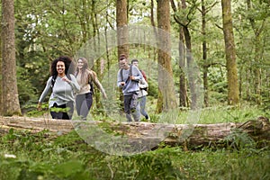 A multi ethnic group of five young adult friends walking in a forest during a hike