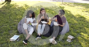 Multi ethnic students having lunch at park