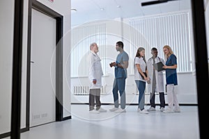 Multi-ethnic team of doctors having conversation during work, discussing tasks