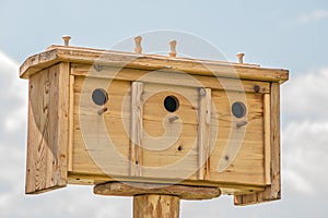 Multi-family Birdhouses