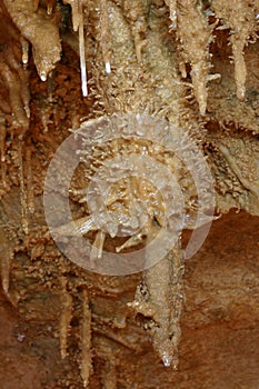 Multi Formation Helictite