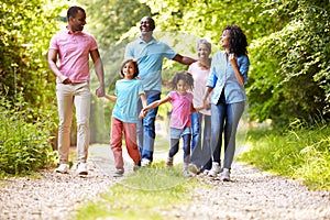 Multi Generation African American Family On Country Walk