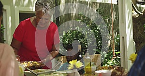 Multi-generation African American family spending time in garden together