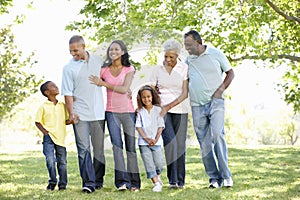 Multi Generation African American Family Walking In Park