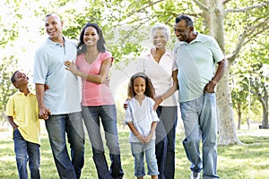 Multi Generation African American Family Walking In Park