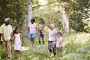 Multi generation black family walking together in a forest