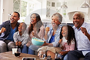 Multi generation black family watching sport on TV at home