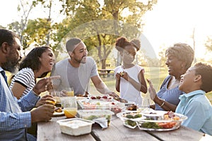 Multi Generation Family Enjoying Picnic In Park Together