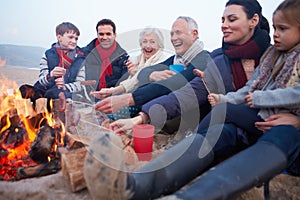 Multi Generation Family Having Barbeque On Winter Beach