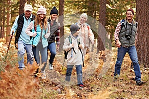 Multi generation family hiking in a forest, California, USA