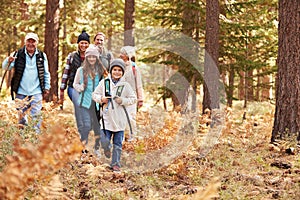 Multi generation family hiking in a forest, California, USA