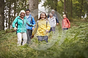 Multi generation family walking downhill on a trail in a forest during a camping holiday, Lake District, UK