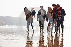 Multi Generation Family Walking On Winter Beach With Dog