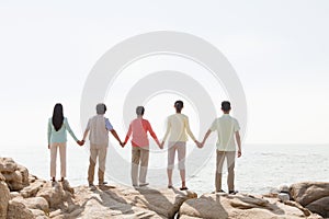 Multi-generational family holding hands on rocks by the sea, rear view