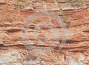 Multi-layered lime and feric lines in wall surface of mine photo