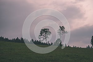 Multi level fields and forests in mountain area - vintage retro film look