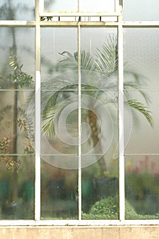 Multi pane window of greenhouse