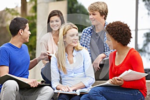 Multi racial student group sitting outdoors