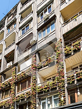 multi-storey city house decorated with flowers