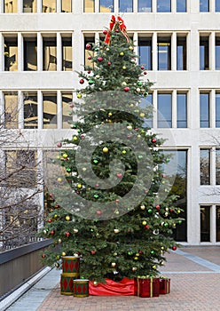 Multi-story Christmas tree on McDermott Plaza, University of Texas at Dallas Southwestern Medical School
