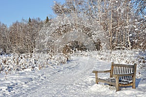 Multi-use Trail through Boreal Forest in winter