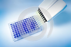 Multichannel pipette and microplate with 96 wells in the lab photo