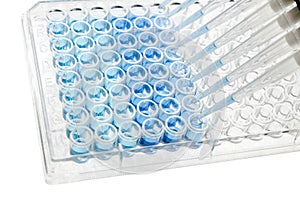 Multichannel pipette test sample