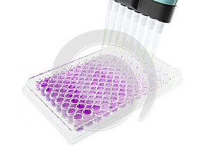 Multichannel pipette test sample on 96 wells photo