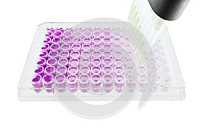 Multichannel pipette test sample photo