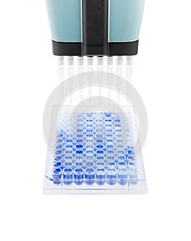 Multichannel pipette test sample