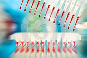 Multichannel pipette photo