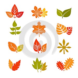 Multicolor autumn leaves flat vector icons. Fall feuille leaf collection