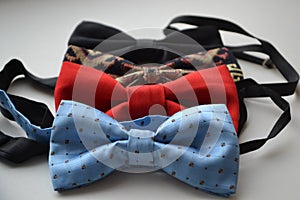 Multicolor beautiful bow ties for a holiday.