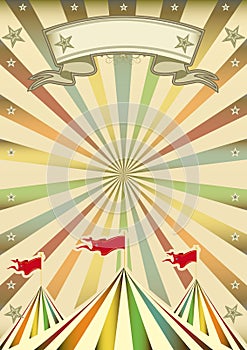 Multicolor circus show