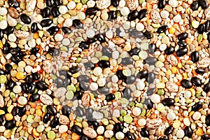 Multicolor dried legumes. Different dry bean for eating healthy. Soup mix