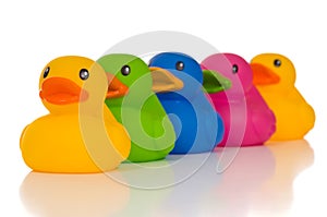 Multicolor Ducks