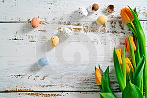 Multicolor Easter painted speckled eggs in basket on white wooden table with tulips. Traditional Spring composition