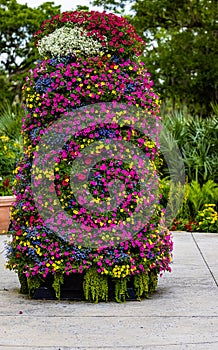 Multicolor flower arrangement in the frontage of a garden photo
