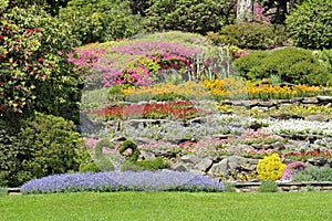 Multicolor flower beds on hillside