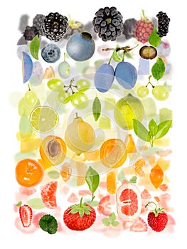 Multicolor Fruit Abstract Mix