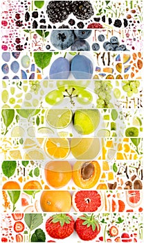 Multicolor Fruit Slice and Leaf Collection