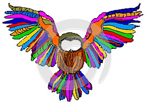 Multicolor owl on white background