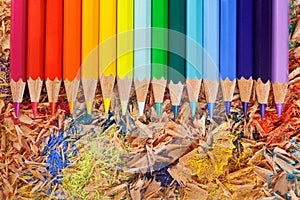 Multicolor pencils raibow on the shavings