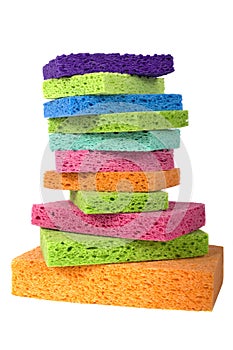 Multicolor Sponges