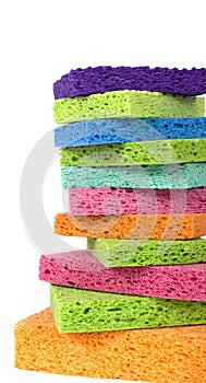 Multicolor Sponges