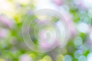 Multicolor summer or spring bokeh on nature abstract blur background